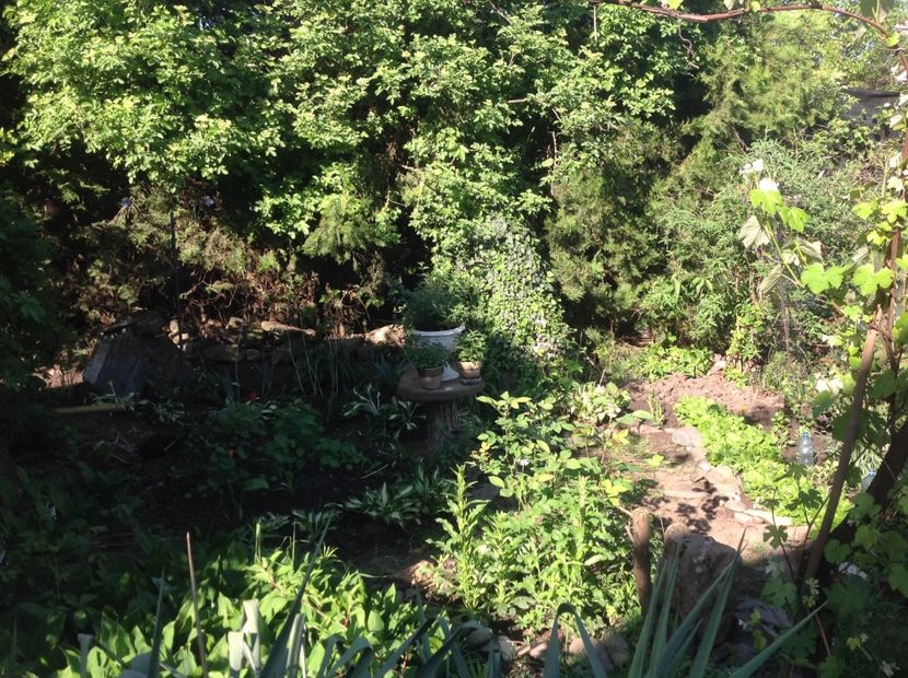  - Gradina secreta de nord