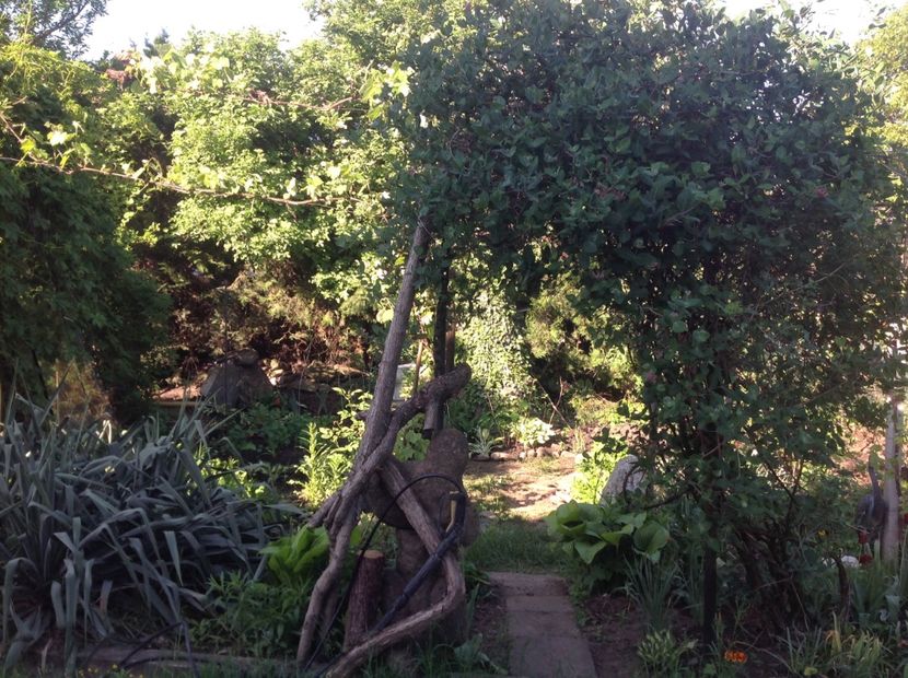 Intrarea in gradina secreta - Gradina secreta de nord