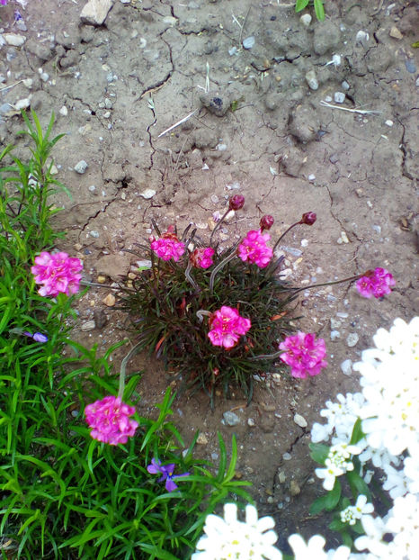  - curtea cu toate cele 2018