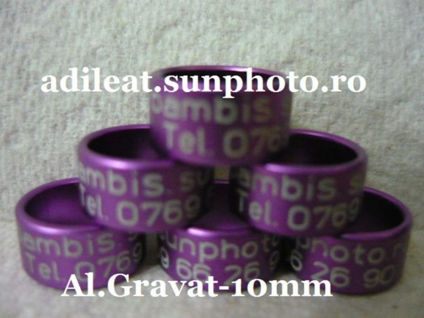 2016-2017 - Inele personalizate