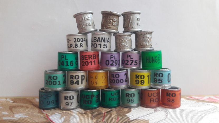 Primite azi de la Brad Ovidiu 3 Mai 2018 - C - INELE DE COLECTIE - RING PIGEON COLLECTION