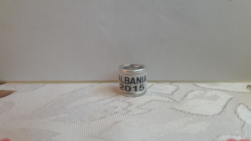ALBANIA 2015 - ALBANIA - AL