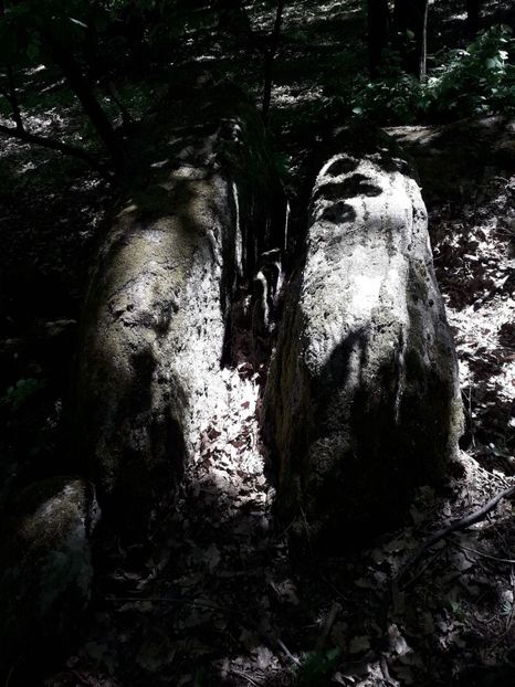 IMG-20180503-WA0092 - 1 Mai 2018 Muntii Macin Varful Tutuiatul 467 metri