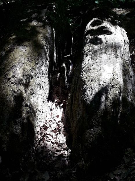IMG-20180503-WA0093 - 1 Mai 2018 Muntii Macin Varful Tutuiatul 467 metri