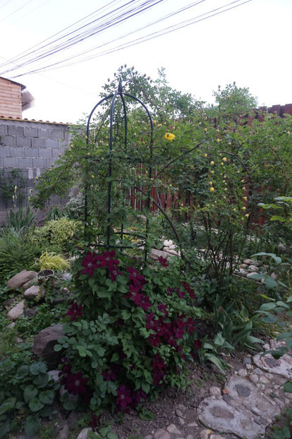  - Persian Yellow