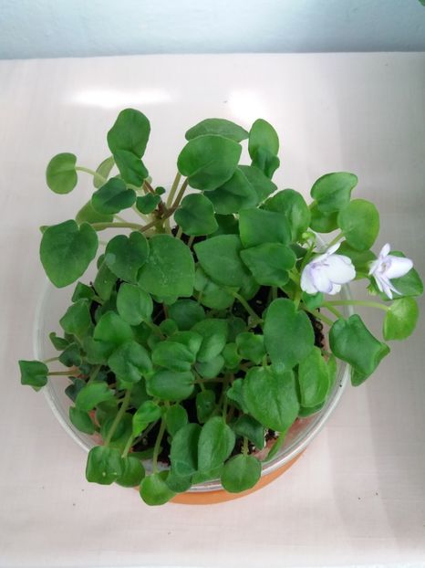 4 mai - Rob s Humpty Doo