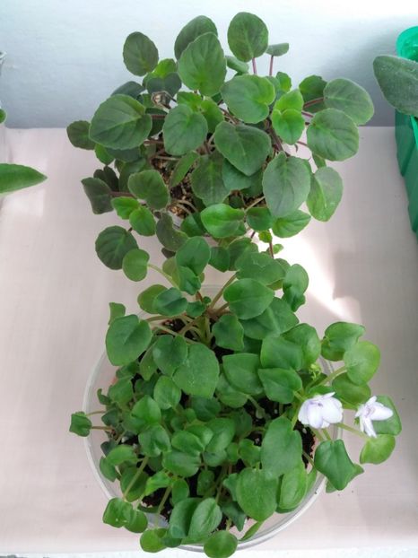 4 mai - Rob s Humpty Doo