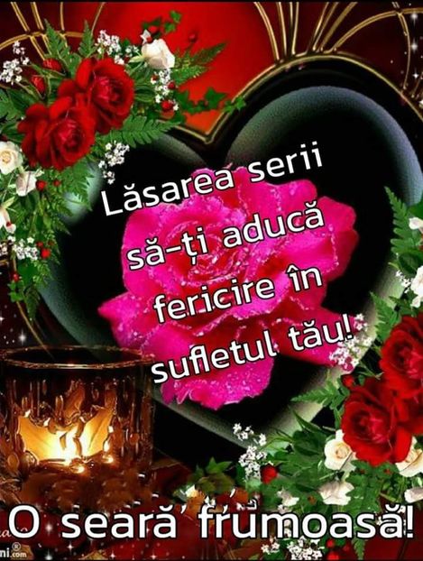  - Poze 4