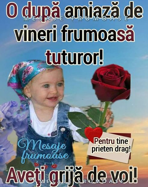  - Poze 4
