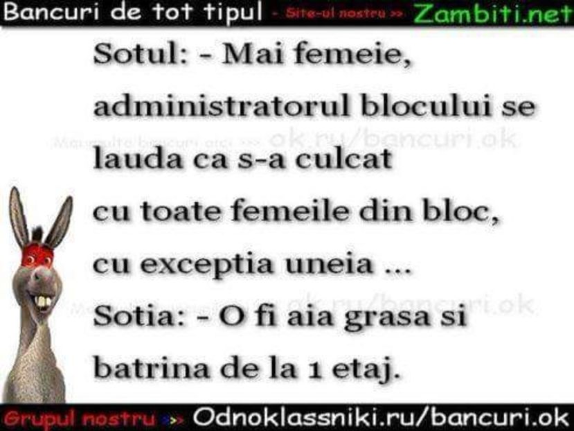  - Poze 4
