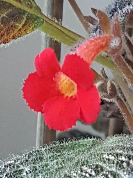 thumbnail (24) - EPISCIA 2018