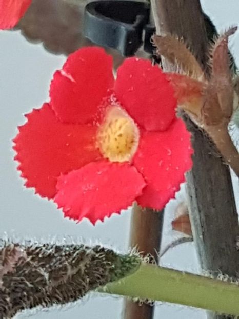 thumbnail (72) - EPISCIA 2018