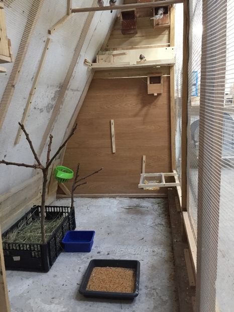 A1B7C6B6-3A52-434C-80F6-E5E0B1A27FFF - Voliera home made