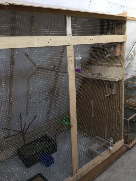 F16E187B-5C86-4217-B90D-85D030A04B0B - Voliera home made