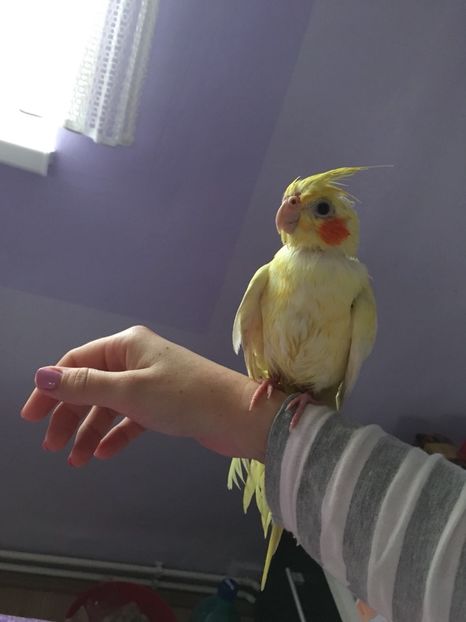 64482D62-8FF9-4880-92C1-B164DEC51E6C - Nimfa kiki