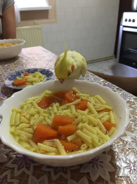 13DE6FC4-C17C-4BBC-A14B-A684B3DD6317 - Nimfa kiki