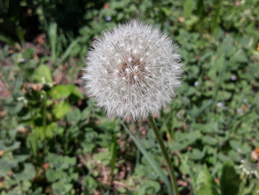 o formă perfectă - mai 2018 Ocea