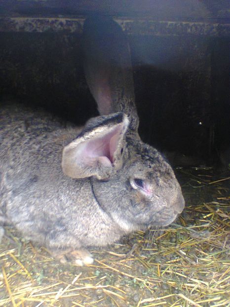 Fotografie0054 - 2018