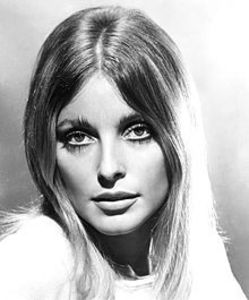 Sharon_Tate_Valley_of_the_Dolls_1967 - I am back here _ hey hello x3