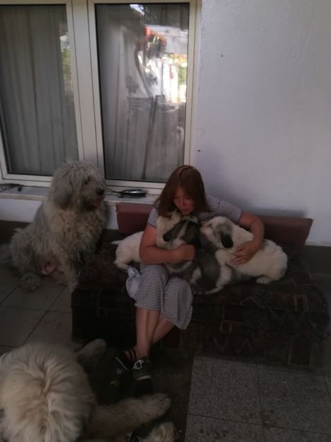  - Alexandra și puii 2018