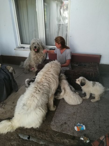  - Alexandra și puii 2018