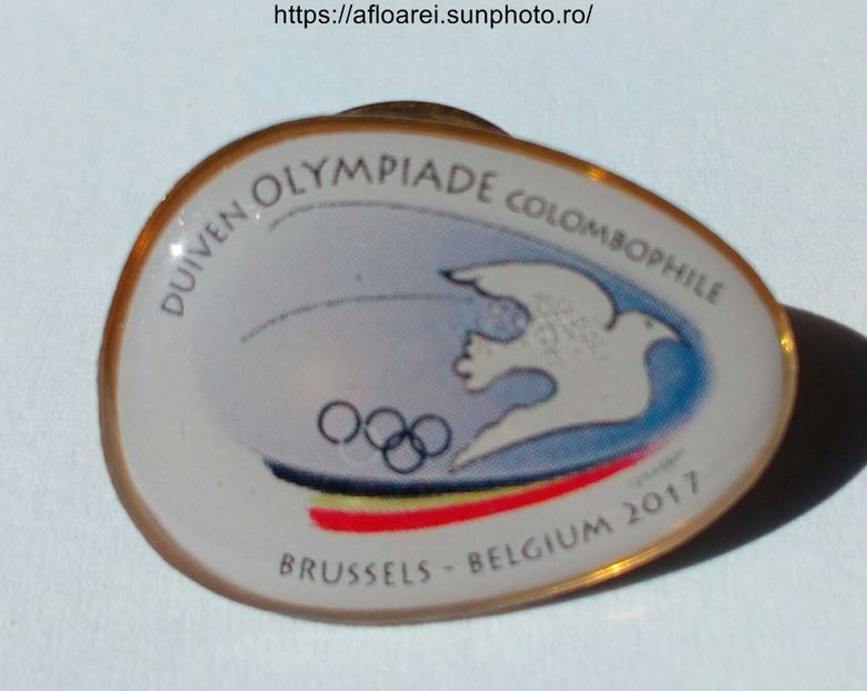 OLYMPIADE - INSIGNE-PINS