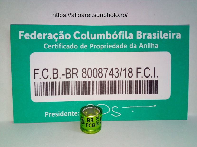 BR FCB 2018 - BRAZILIA- BR