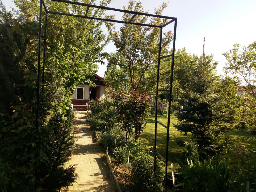  - Gradina primavara 2018