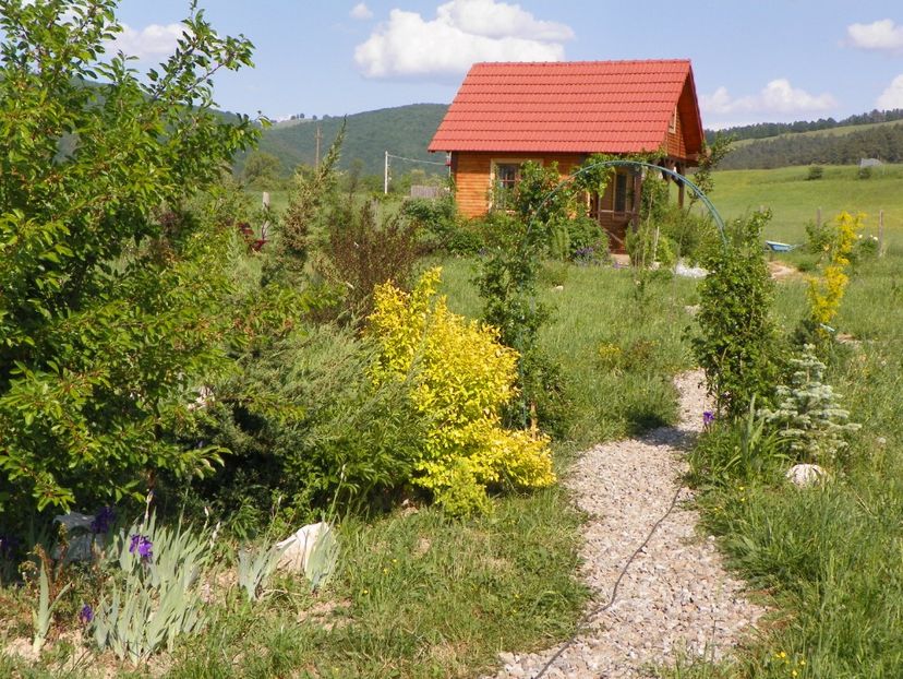 5 mai (213) - Dobarland 2018 2