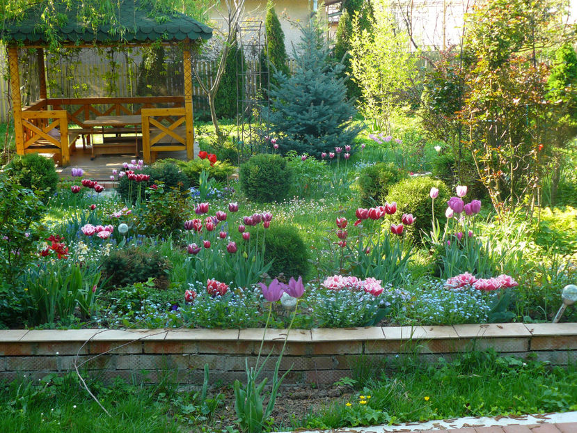 2018 - Z_FAVORITELE gradinii mele