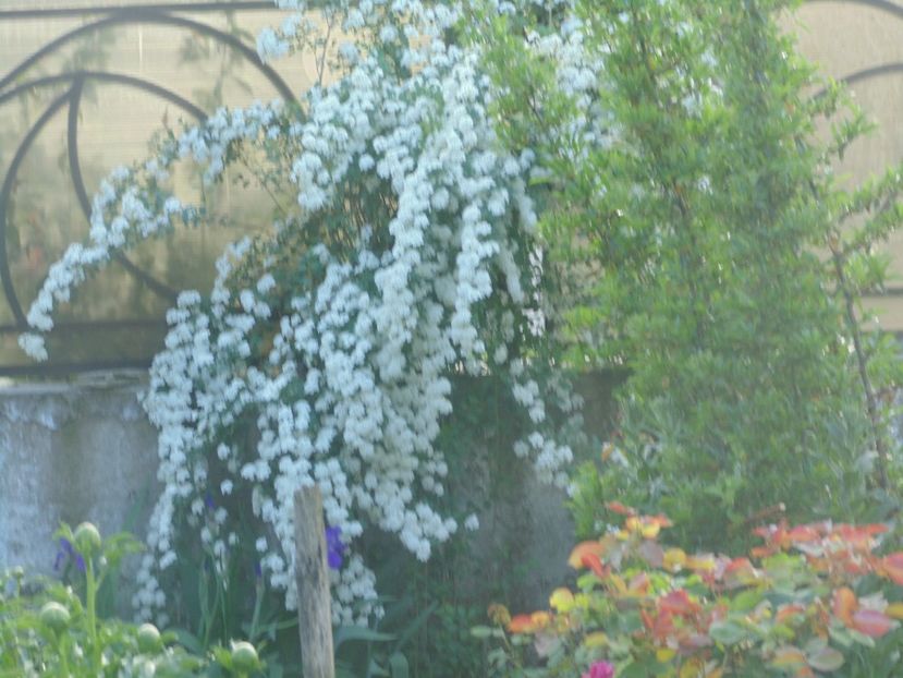  - 2018 Mai in asteptarea ploii!!