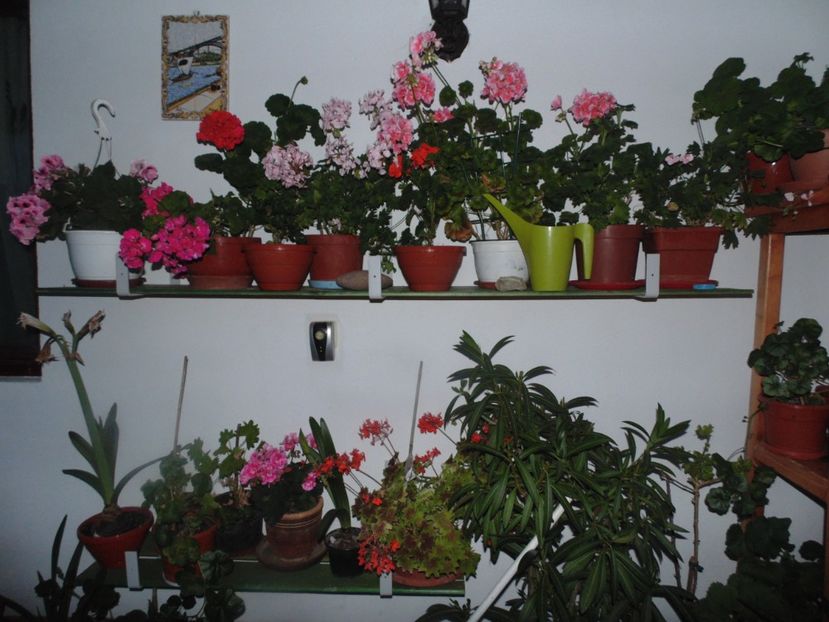  - 2018 Mai in asteptarea ploii!!