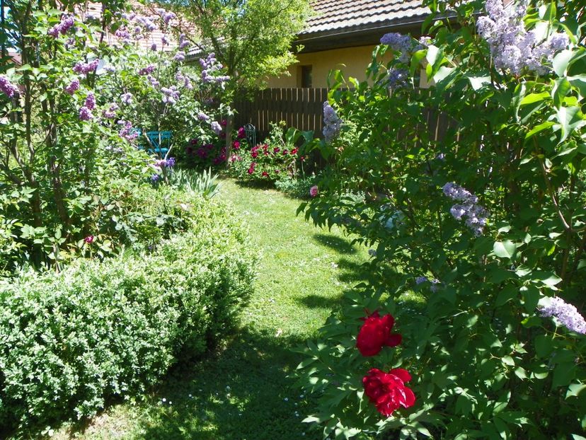 03 MAI (92) - Gradina 2018