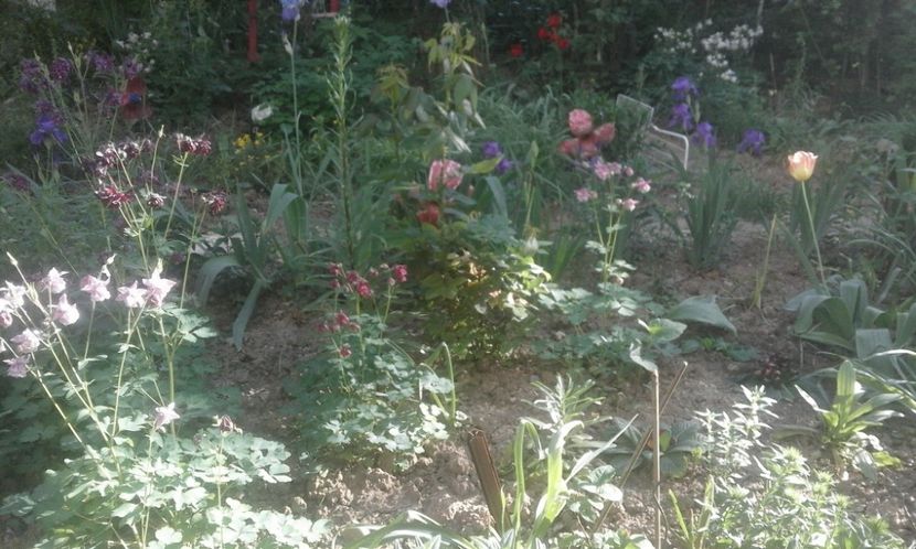 31944268_779025825630391_6067441990583189504_o - primavara2018