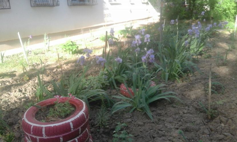 31944496_779025608963746_7326552734767775744_o - primavara2018