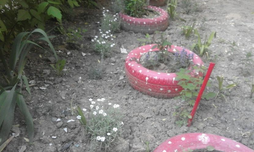 31946411_778114469054860_1374502625503870976_o - primavara2018