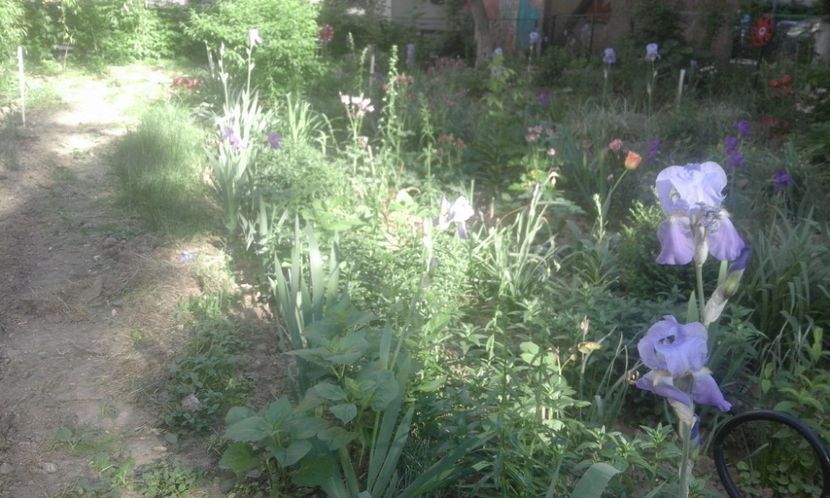 31947357_779025662297074_6604389249921843200_o - primavara2018