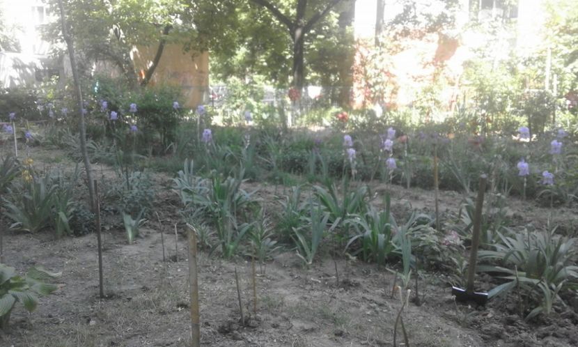 31948659_779024918963815_3049584955215577088_o - primavara2018