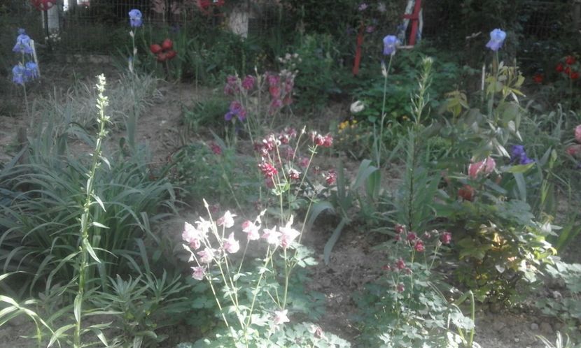 31957711_779025732297067_6218369018265337856_o - primavara2018