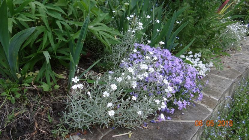  - De-ale lui Florar