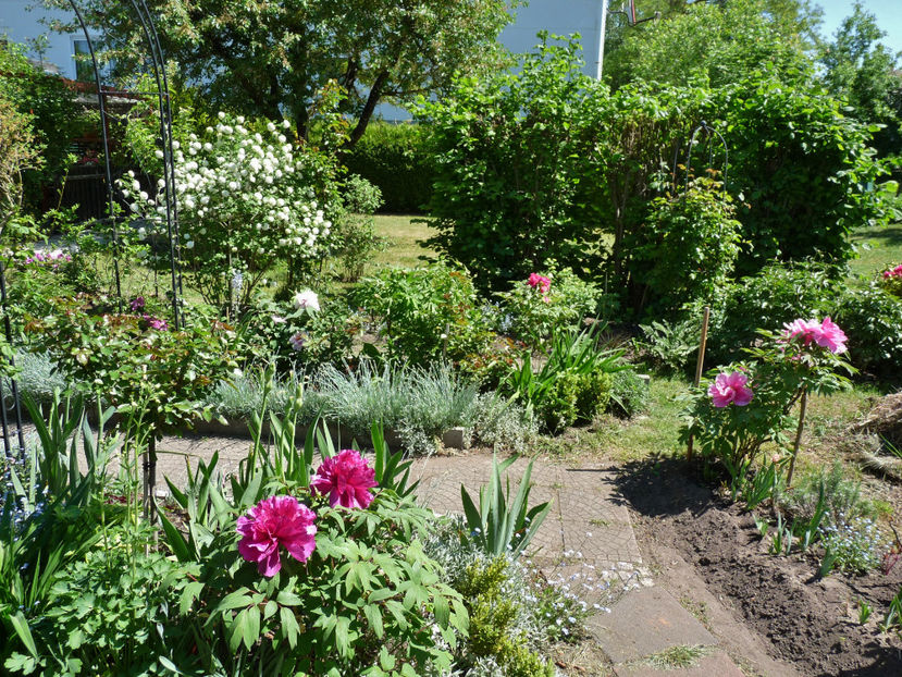  - 2018 - 01 - Primavara