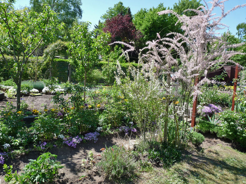  - 2018 - 01 - Primavara