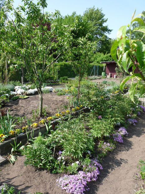  - 2018 - 01 - Primavara