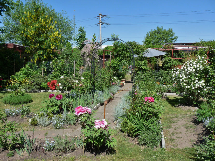  - 2018 - 01 - Primavara