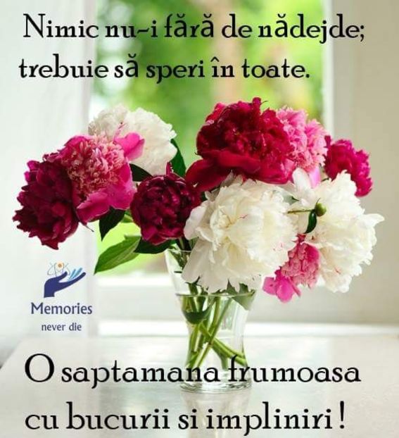  - Poze 4