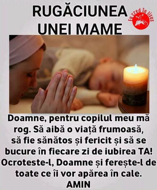  - Poze 4