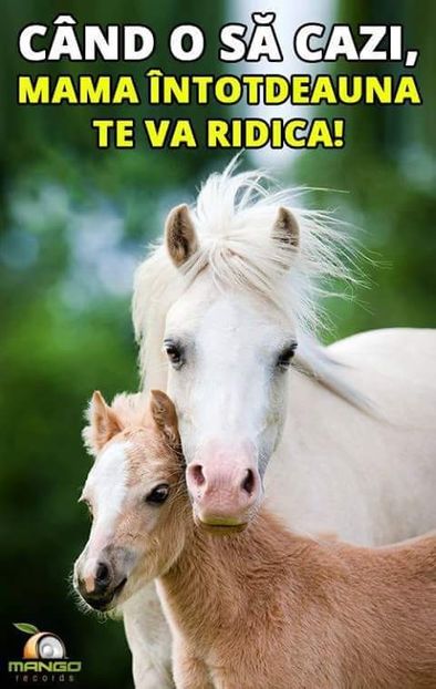  - Poze 4