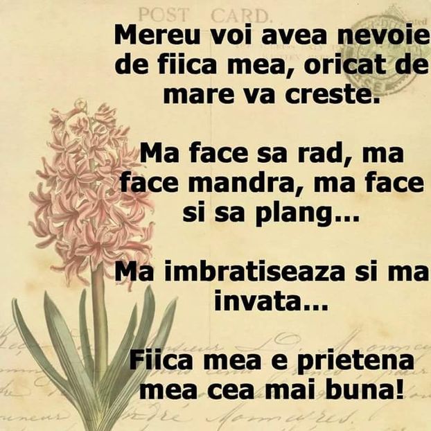 - Poze 4
