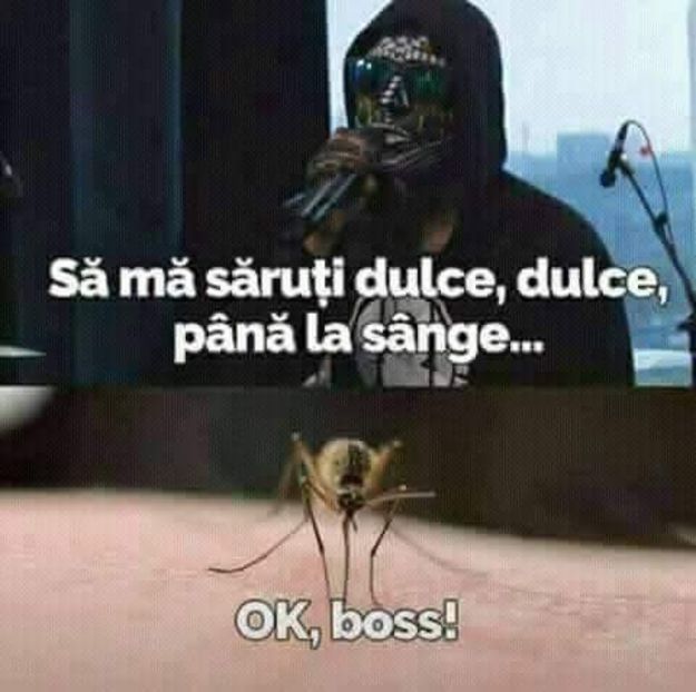  - Poze 4