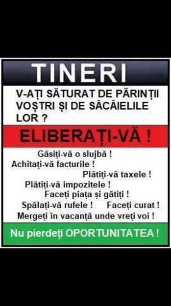  - Poze 4